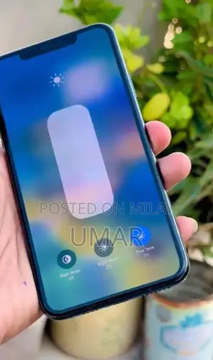 iPhone 11 Pro Max 256GB Dual SIM Smartphone