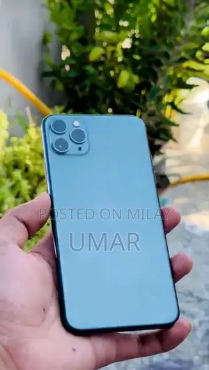 iPhone 11 Pro Max 256GB Dual SIM Smartphone