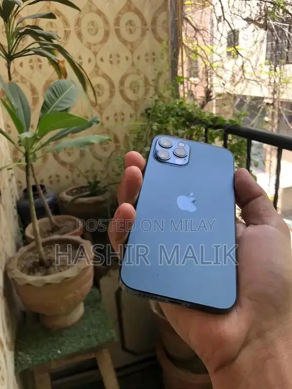 Apple Smartphone 128GB Storage Premium Condition