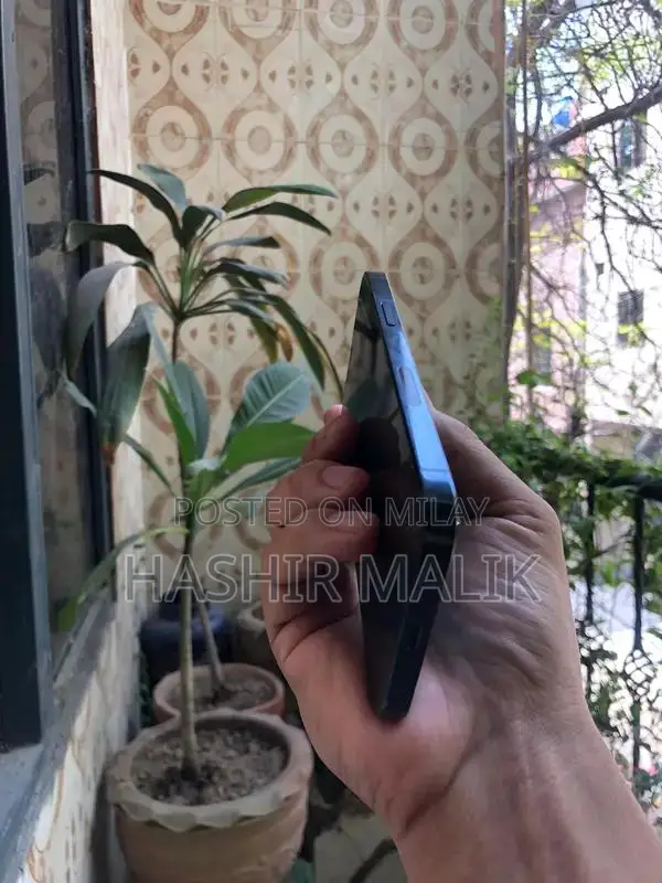 Apple Smartphone 128GB Storage Premium Condition