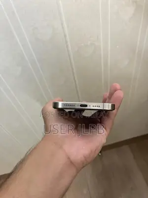 Apple iPhone 15 Pro Max Smartphone - 256GB Model