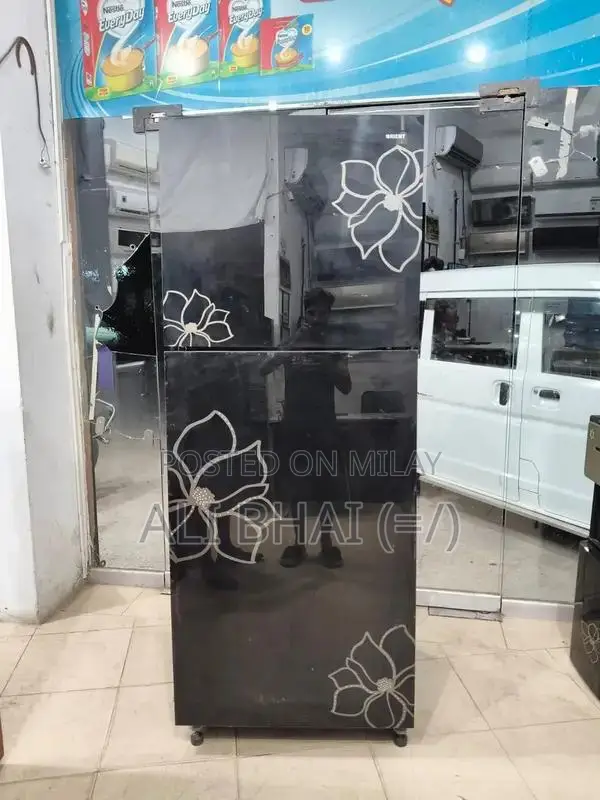 Orient Large Jumbo Refrigerator with Spacious Interior