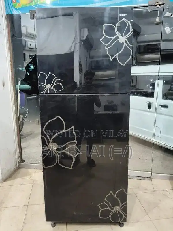 Orient Large Jumbo Refrigerator with Spacious Interior