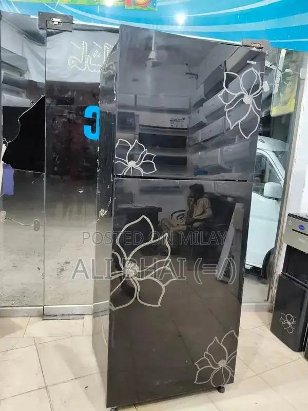 Orient Large Jumbo Refrigerator with Spacious Interior