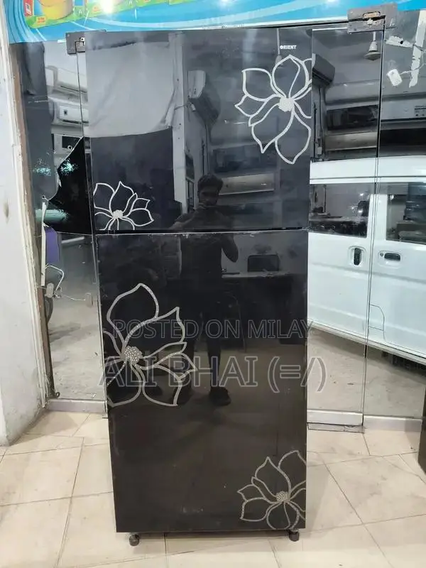 Orient Large Jumbo Refrigerator with Spacious Interior