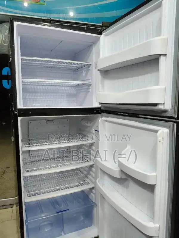 Orient Large Jumbo Refrigerator with Spacious Interior