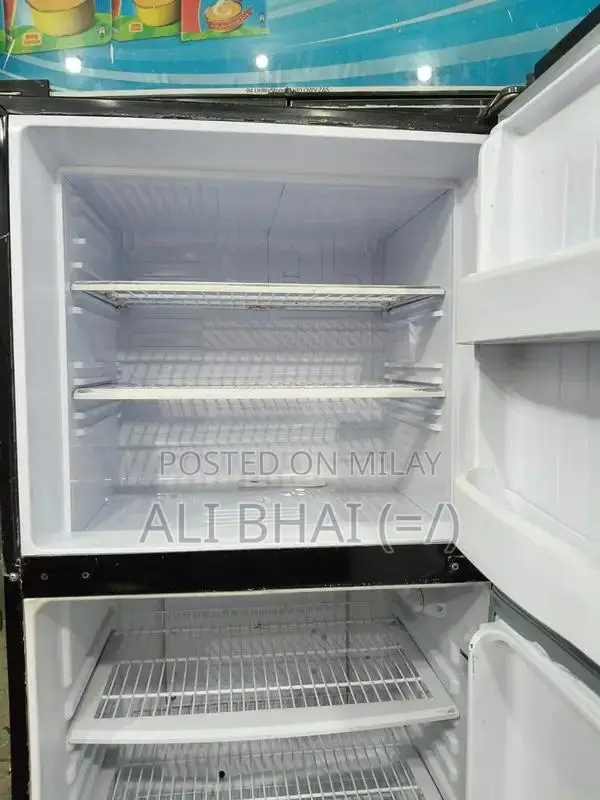 Orient Large Jumbo Refrigerator with Spacious Interior