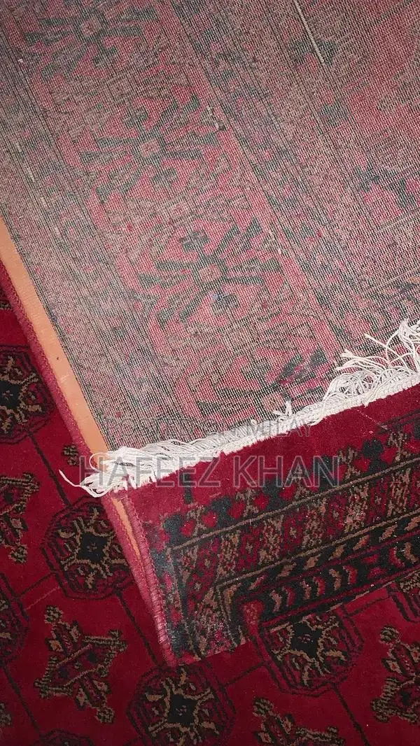 Professional Red Cleaning Carpet Duster