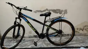 Lightweight Imported Aluminium Mountain Bicycle with Gear Shifts
