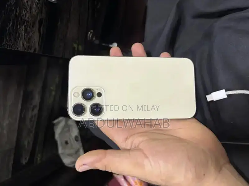 Upgraded iPhone XR to 13 Pro Conversion Model