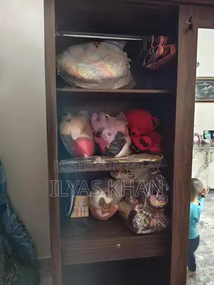 Classic Lasani Wood Wardrobe - Stylish Storage Solution