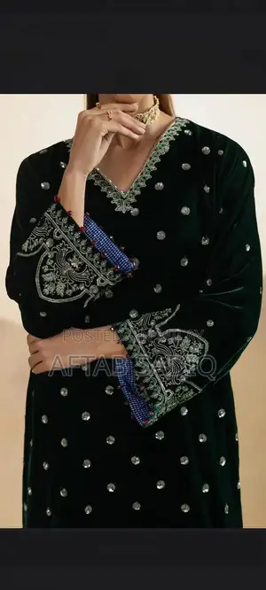 Elegant Velvet Zari Embroidered Gown with Detailed Embellishments