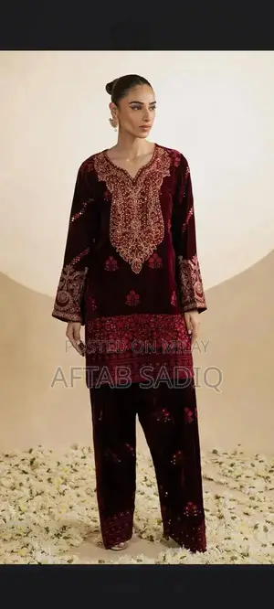 Elegant Velvet Zari Embroidered Gown with Detailed Embellishments