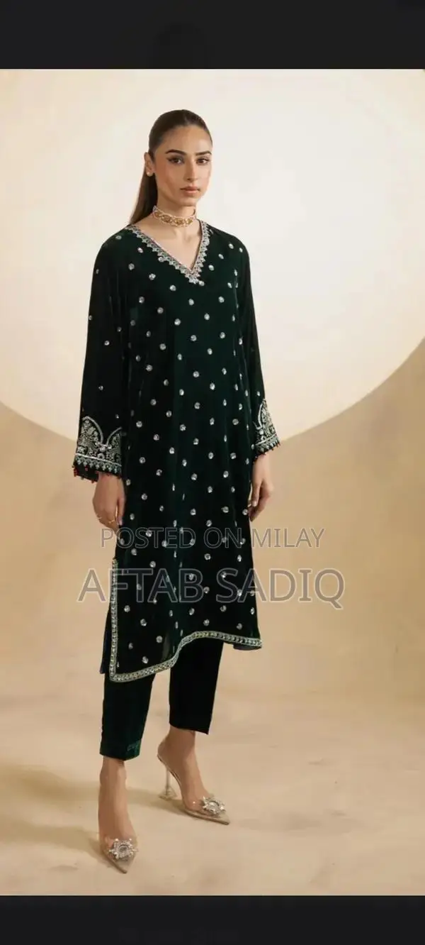 Elegant Velvet Zari Embroidered Gown with Detailed Embellishments