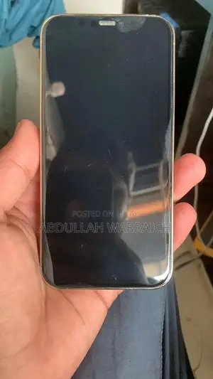 PTA Approved iPhone 12 Pro with 256GB Storage