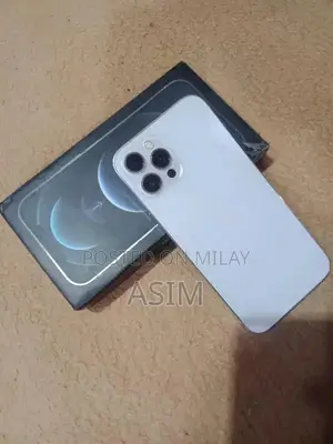 Apple iPhone 12 Pro Max 256GB Smartphone