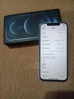 Apple iPhone 12 Pro Max 256GB Smartphone