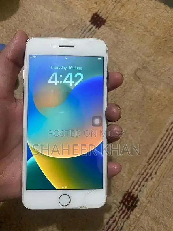 Apple Smartphone 64GB Storage Panel Replaced