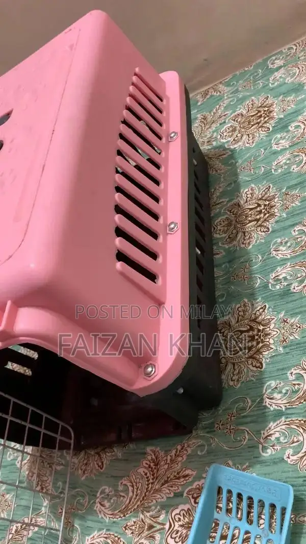 Durable Cat Enclosure with Litter Spoon