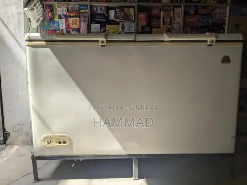 National Commercial Deep Freezer - Japanese Quality Refrigeration