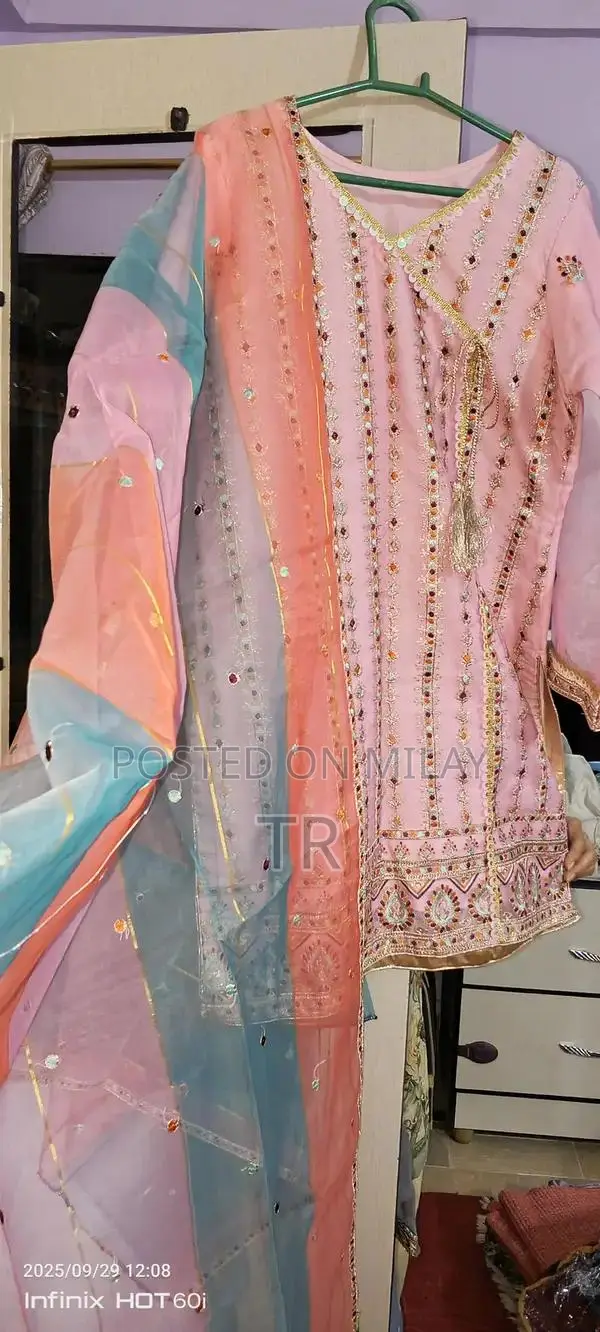 Women's Multicolor Organza Embroidered Indian Style Dress