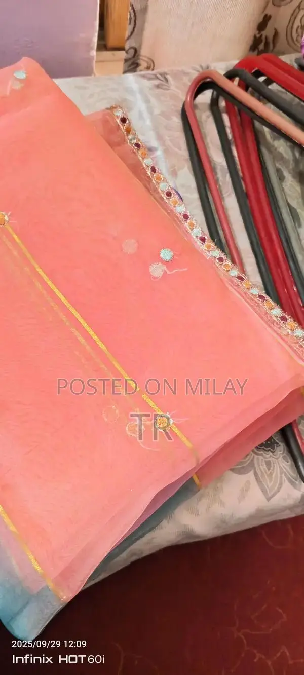 Women's Multicolor Organza Embroidered Indian Style Dress