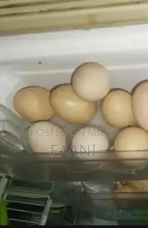 Fresh Farm-Raised Desi Eggs - Large, Organic Home-Breed Hen Eggs