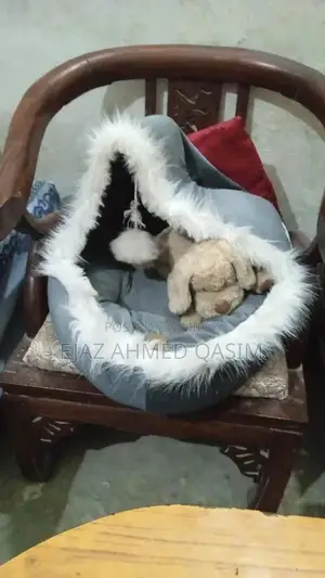 Cat House Pet Shelter Small Animal Portable Enclosure