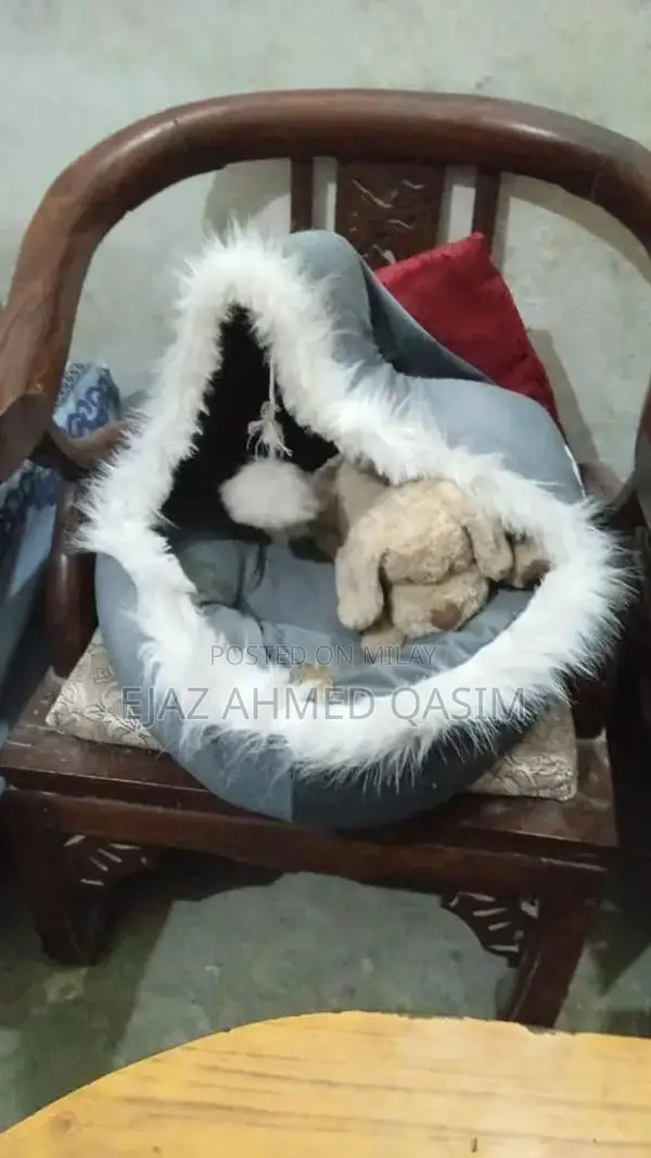 Cat House Pet Shelter Small Animal Portable Enclosure