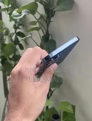 Apple iPhone 12 Pro Max - PTA Approved Smartphone