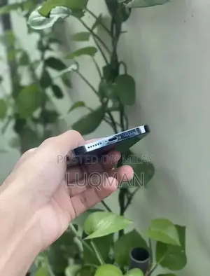 Apple iPhone 12 Pro Max - PTA Approved Smartphone