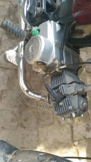 VIP High-Performance Bike in Excellent Condition