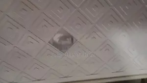 Compact Humidifier with Aroma Diffusion and Advanced Features