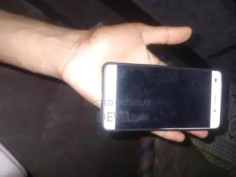 Huawei P8 Lite Smartphone with Dual SIM Capability