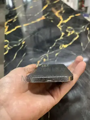 Apple iPhone 12 Pro Smartphone with Dual SIM Support