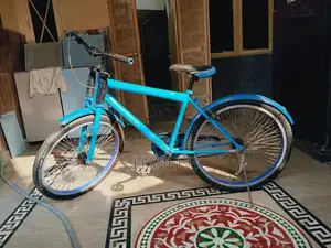 Photo - Phoenix Frame Bicycle - High-Performance Road/Mountain Bike