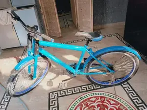 Phoenix Frame Bicycle - High-Performance Road/Mountain Bike