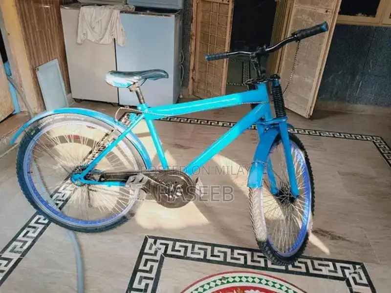 Phoenix Frame Bicycle - High-Performance Road/Mountain Bike