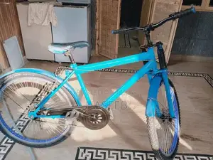 Phoenix Frame Bicycle - High-Performance Road/Mountain Bike