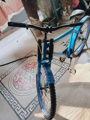 Phoenix Frame Bicycle - High-Performance Road/Mountain Bike