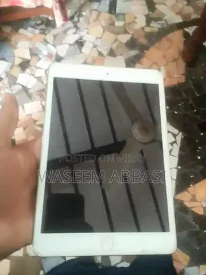 iPad Tablet with Software Reset and Disabled Status