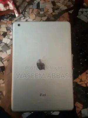 iPad Tablet with Software Reset and Disabled Status