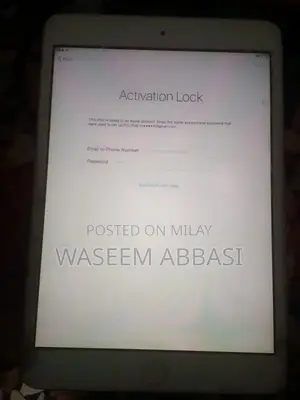 iPad Tablet with Software Reset and Disabled Status