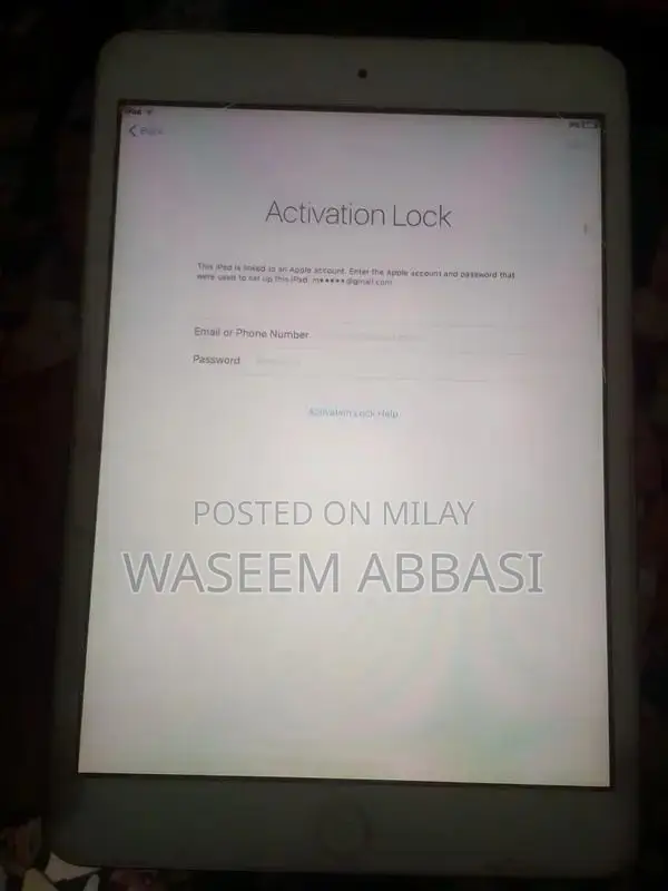 iPad Tablet with Software Reset and Disabled Status