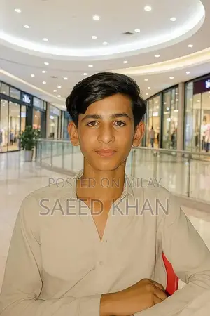 High-Quality Kabutar Bird Cage and Accessories