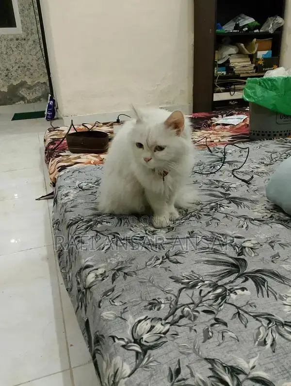 Versatile Plug and Play Washroom Utility Service Product