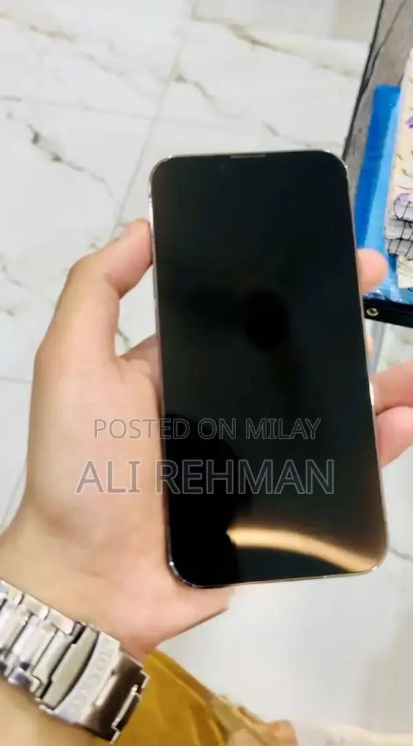 iPhone 13 Pro 256GB Graphite Dual SIM Smartphone