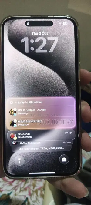 Apple iPhone 15 Pro Max Premium Smartphone