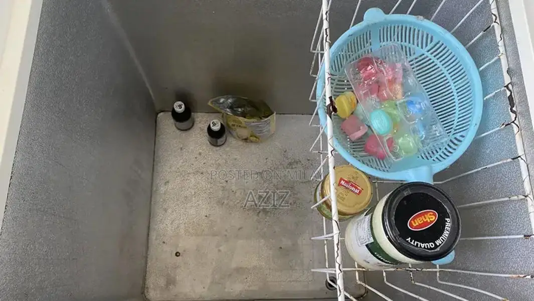 Waves Brand Deep Freezer - Reliable Cold Storage Solution