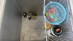 Waves Brand Deep Freezer - Reliable Cold Storage Solution